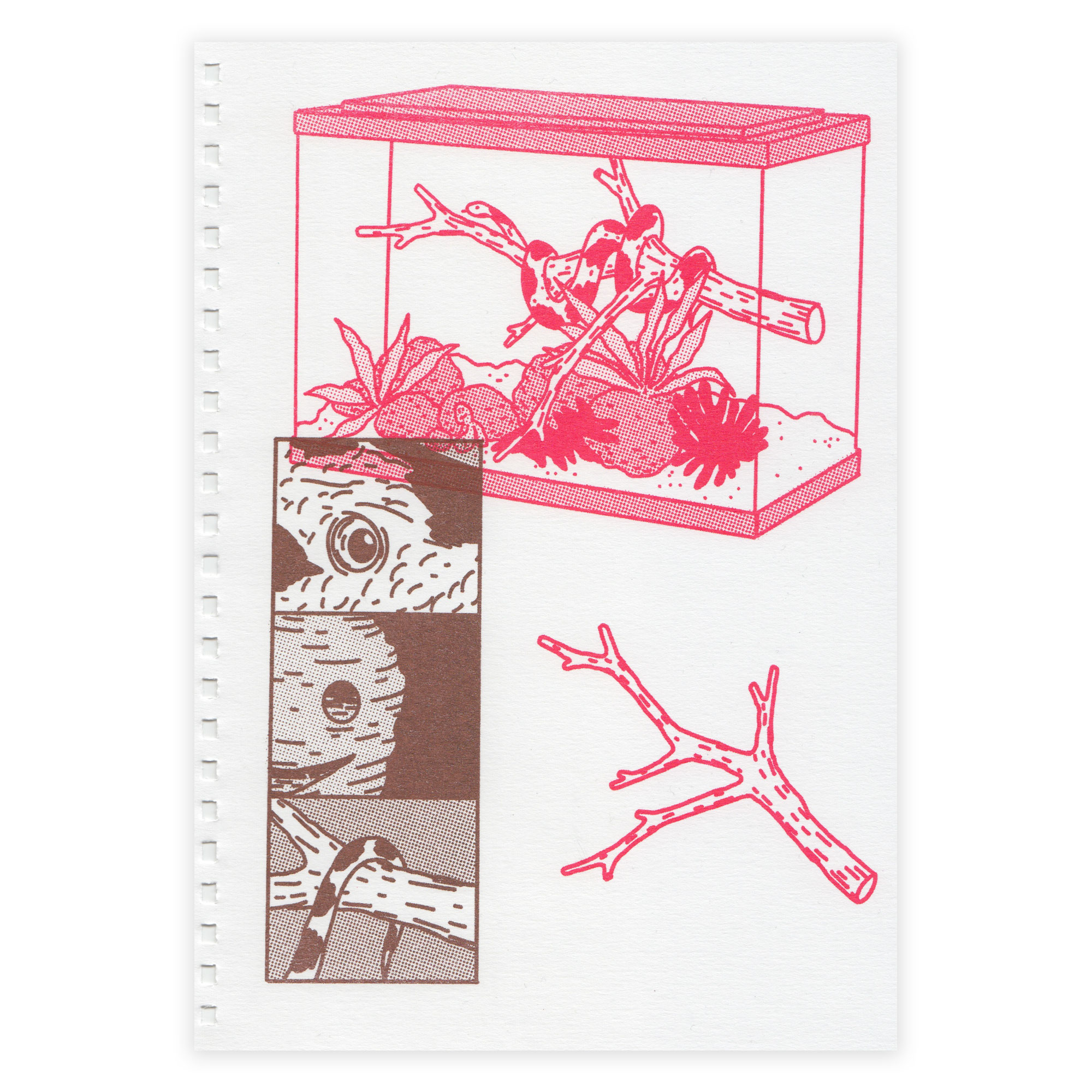 Comic Flash (Zine) - Afbeelding 3